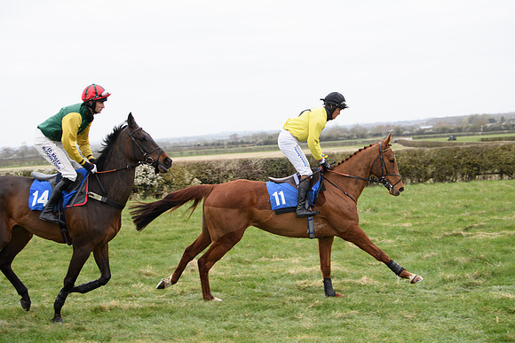 Race 2 - Open Maiden Race  (40 of 167)