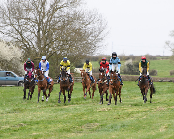 Race 2 - Open Maiden Race  (43 of 167)