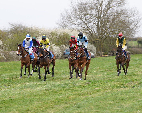 Race 2 - Open Maiden Race  (44 of 167)