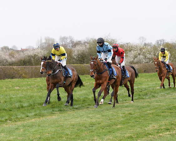Race 2 - Open Maiden Race  (45 of 167)