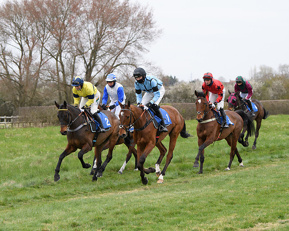 Race 2 - Open Maiden Race  (46 of 167)