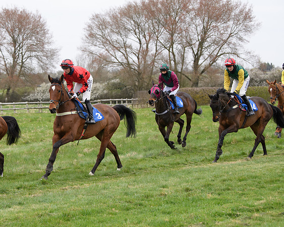 Race 2 - Open Maiden Race  (48 of 167)