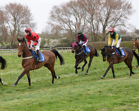 Race 2 - Open Maiden Race  (49 of 167)