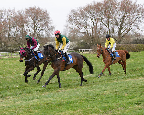 Race 2 - Open Maiden Race  (50 of 167)