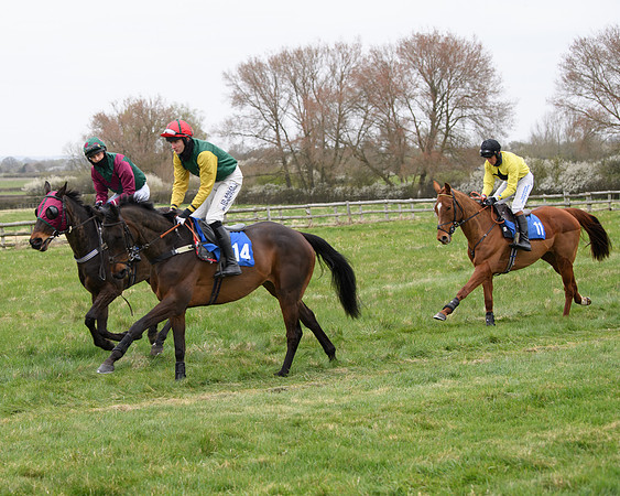 Race 2 - Open Maiden Race  (52 of 167)