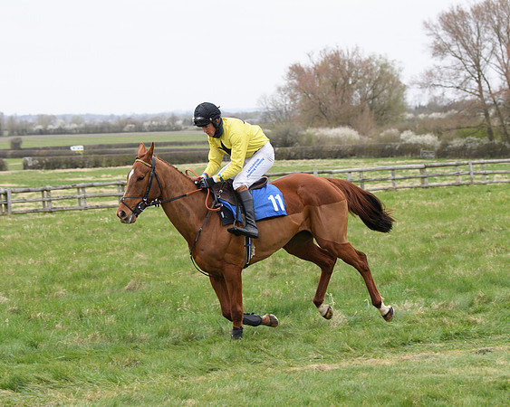 Race 2 - Open Maiden Race  (54 of 167)