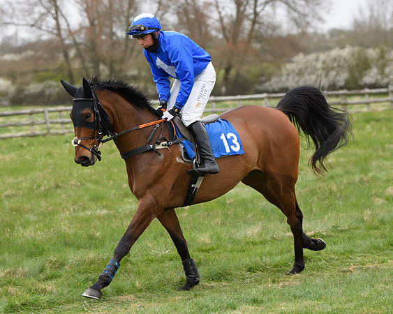 Race 2 - Open Maiden Race  (57 of 167)
