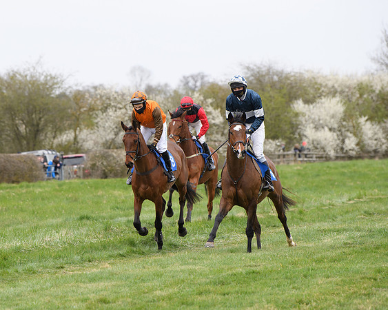 Race 2 - Open Maiden Race  (58 of 167)