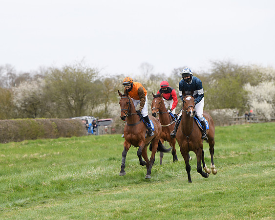 Race 2 - Open Maiden Race  (59 of 167)