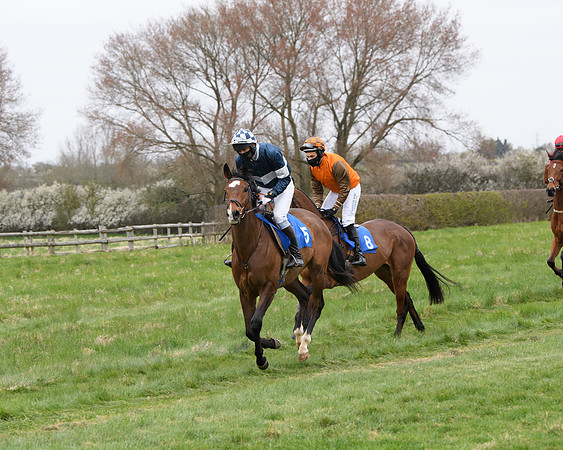 Race 2 - Open Maiden Race  (60 of 167)