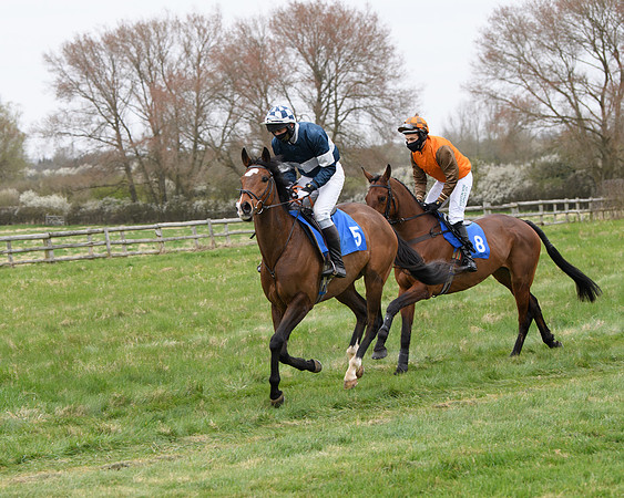 Race 2 - Open Maiden Race  (61 of 167)