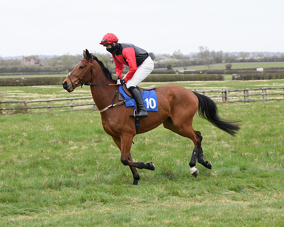 Race 2 - Open Maiden Race  (65 of 167)
