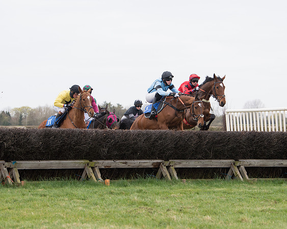 Race 2 - Open Maiden Race  (67 of 167)