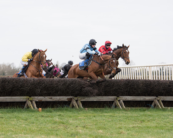 Race 2 - Open Maiden Race  (68 of 167)