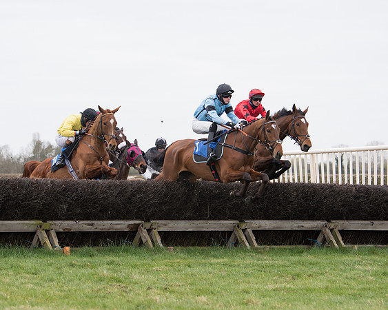 Race 2 - Open Maiden Race  (69 of 167)