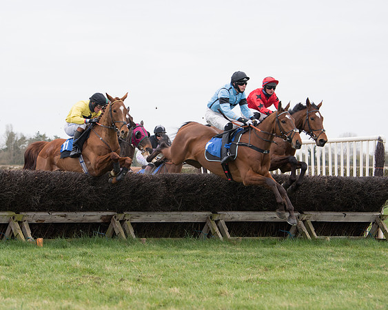Race 2 - Open Maiden Race  (70 of 167)