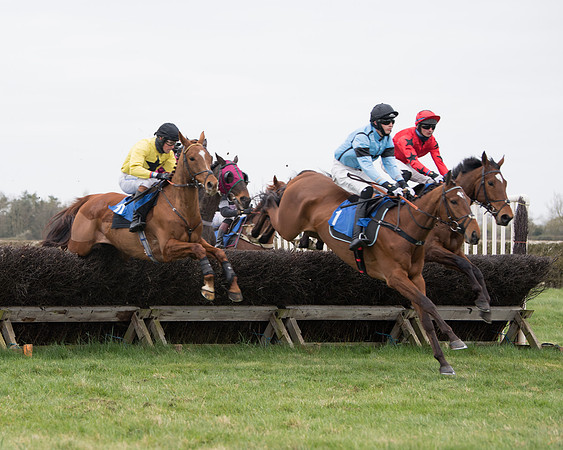 Race 2 - Open Maiden Race  (72 of 167)