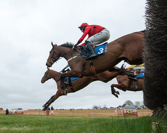 Race 2 - Open Maiden Race  (73 of 167)