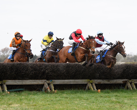 Race 2 - Open Maiden Race  (74 of 167)