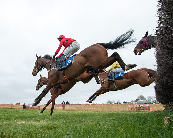 Race 2 - Open Maiden Race  (75 of 167)