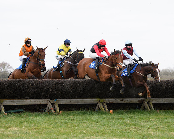 Race 2 - Open Maiden Race  (76 of 167)