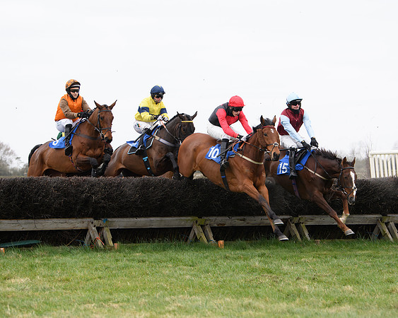 Race 2 - Open Maiden Race  (77 of 167)