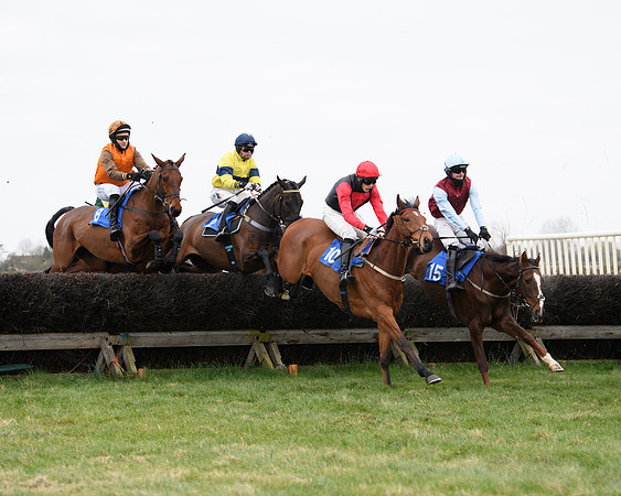 Race 2 - Open Maiden Race  (78 of 167)