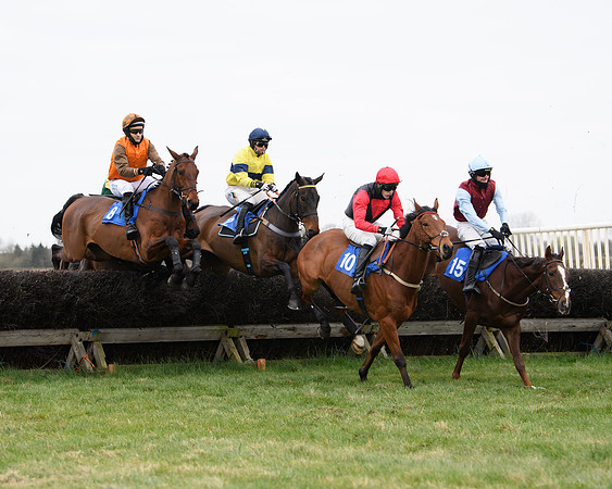 Race 2 - Open Maiden Race  (79 of 167)