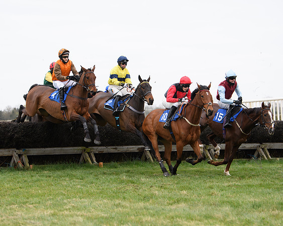 Race 2 - Open Maiden Race  (80 of 167)