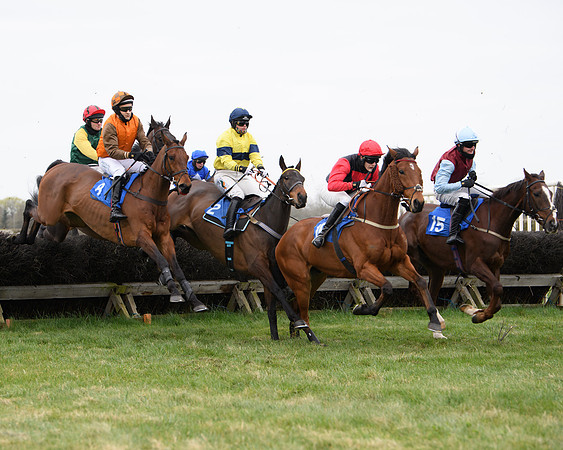 Race 2 - Open Maiden Race  (81 of 167)