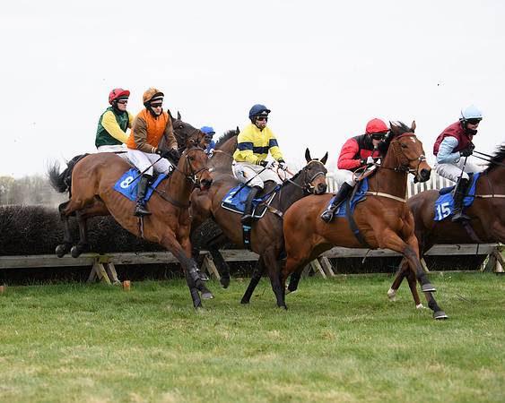 Race 2 - Open Maiden Race  (82 of 167)