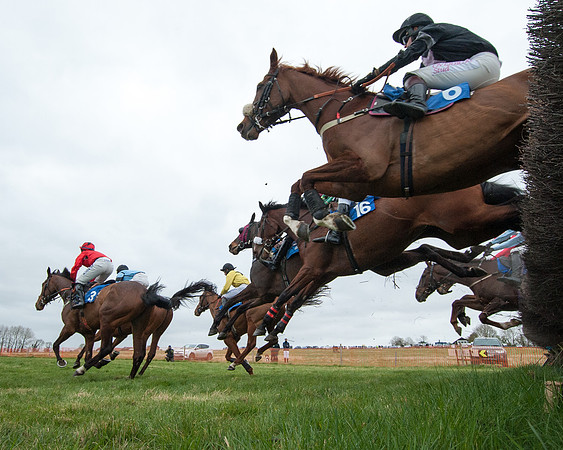 Race 2 - Open Maiden Race  (83 of 167)