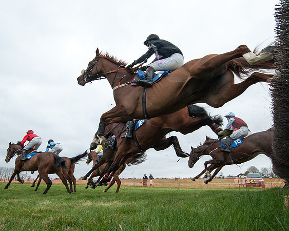 Race 2 - Open Maiden Race  (84 of 167)