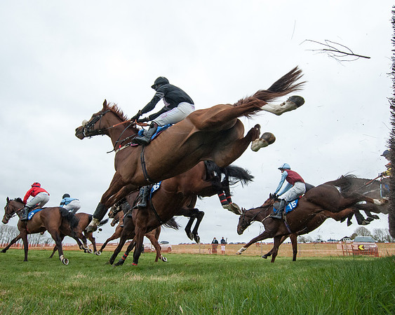 Race 2 - Open Maiden Race  (85 of 167)