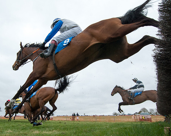 Race 2 - Open Maiden Race  (86 of 167)