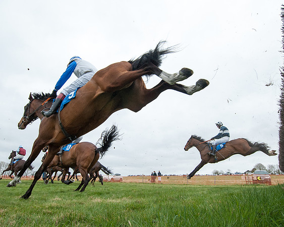 Race 2 - Open Maiden Race  (87 of 167)