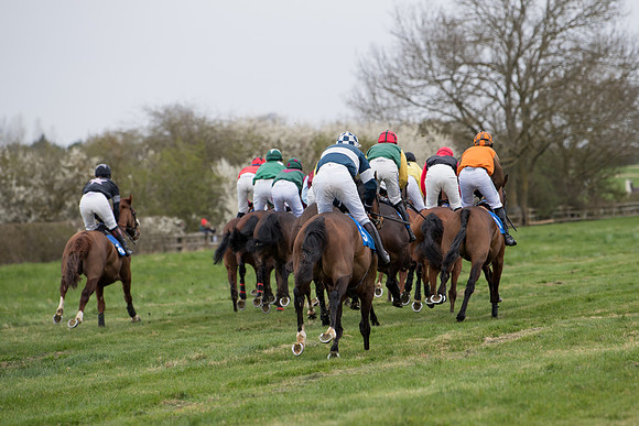 Race 2 - Open Maiden Race  (88 of 167)