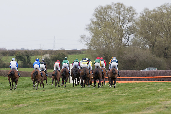 Race 2 - Open Maiden Race  (89 of 167)