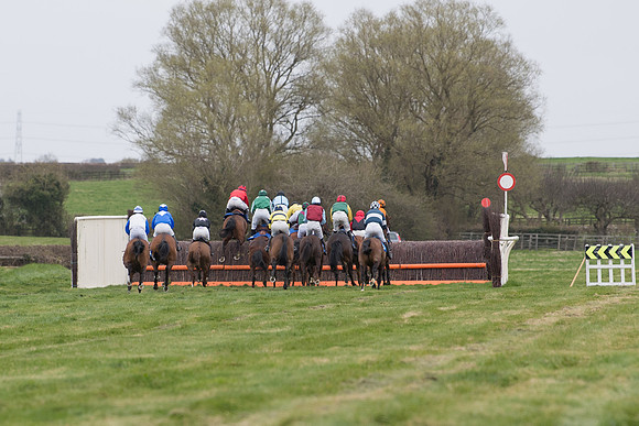 Race 2 - Open Maiden Race  (91 of 167)