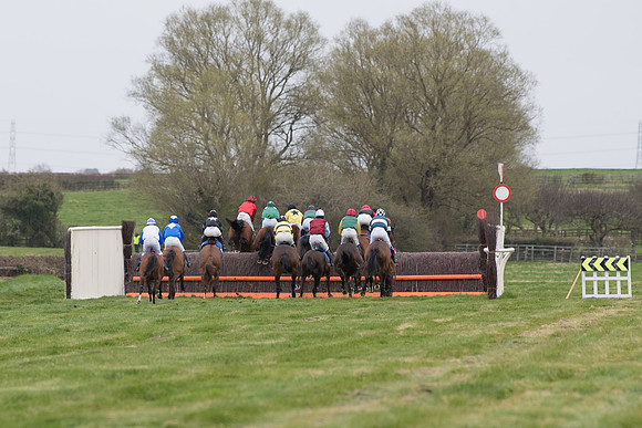 Race 2 - Open Maiden Race  (93 of 167)