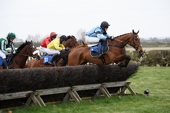 Race 2 - Open Maiden Race  (100 of 167)