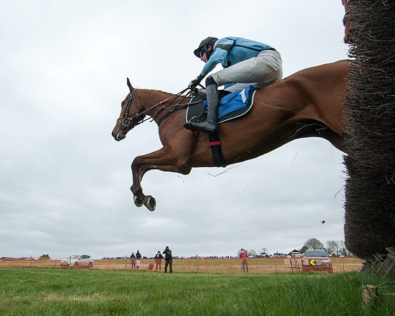 Race 2 - Open Maiden Race  (102 of 167)