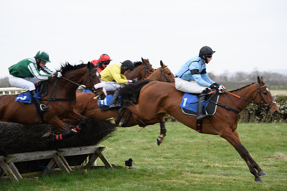 Race 2 - Open Maiden Race  (105 of 167)