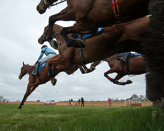 Race 2 - Open Maiden Race  (106 of 167)