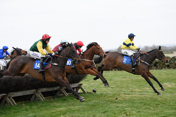 Race 2 - Open Maiden Race  (111 of 167)