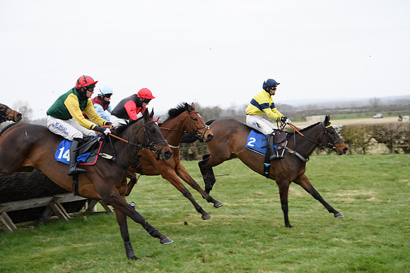 Race 2 - Open Maiden Race  (112 of 167)