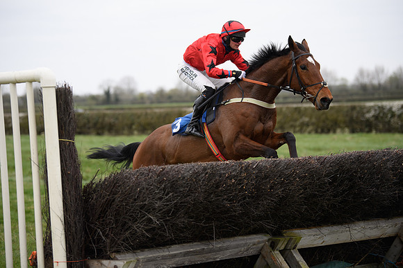 Race 2 - Open Maiden Race  (129 of 167)