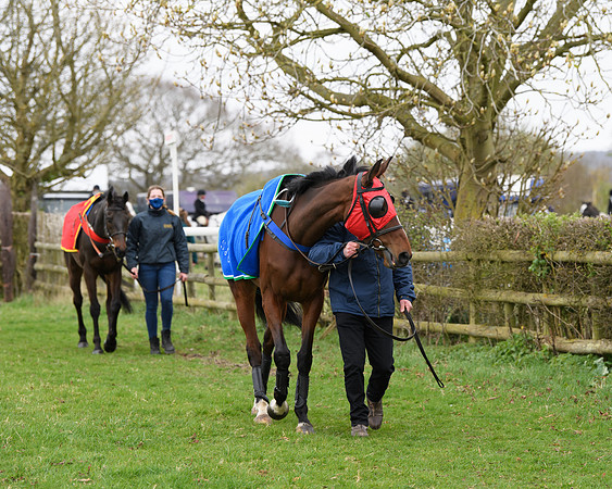 Race 3 - The PPORA Novice Riders Race  (7 of 200)