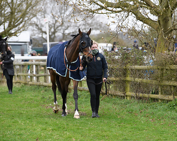 Race 3 - The PPORA Novice Riders Race  (21 of 200)