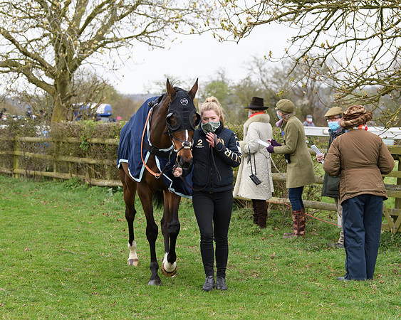 Race 3 - The PPORA Novice Riders Race  (22 of 200)